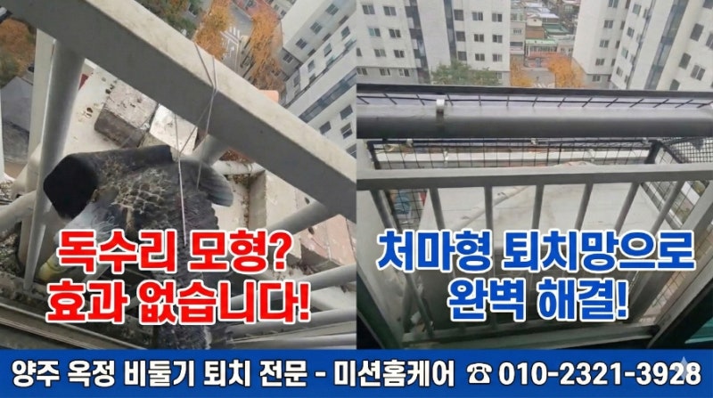다이소 독수리 모형? 비둘기 퇴치 효과 진짜 있을까? (feat. 처마형 시공 후기)