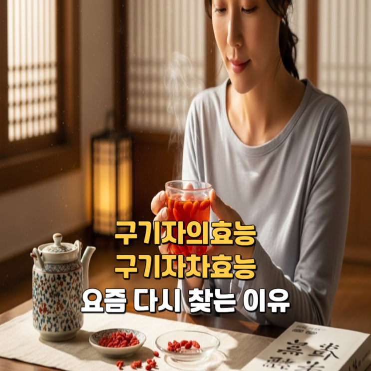  구기자의효능 구기자차효능 요즘 다시 찾는 이유