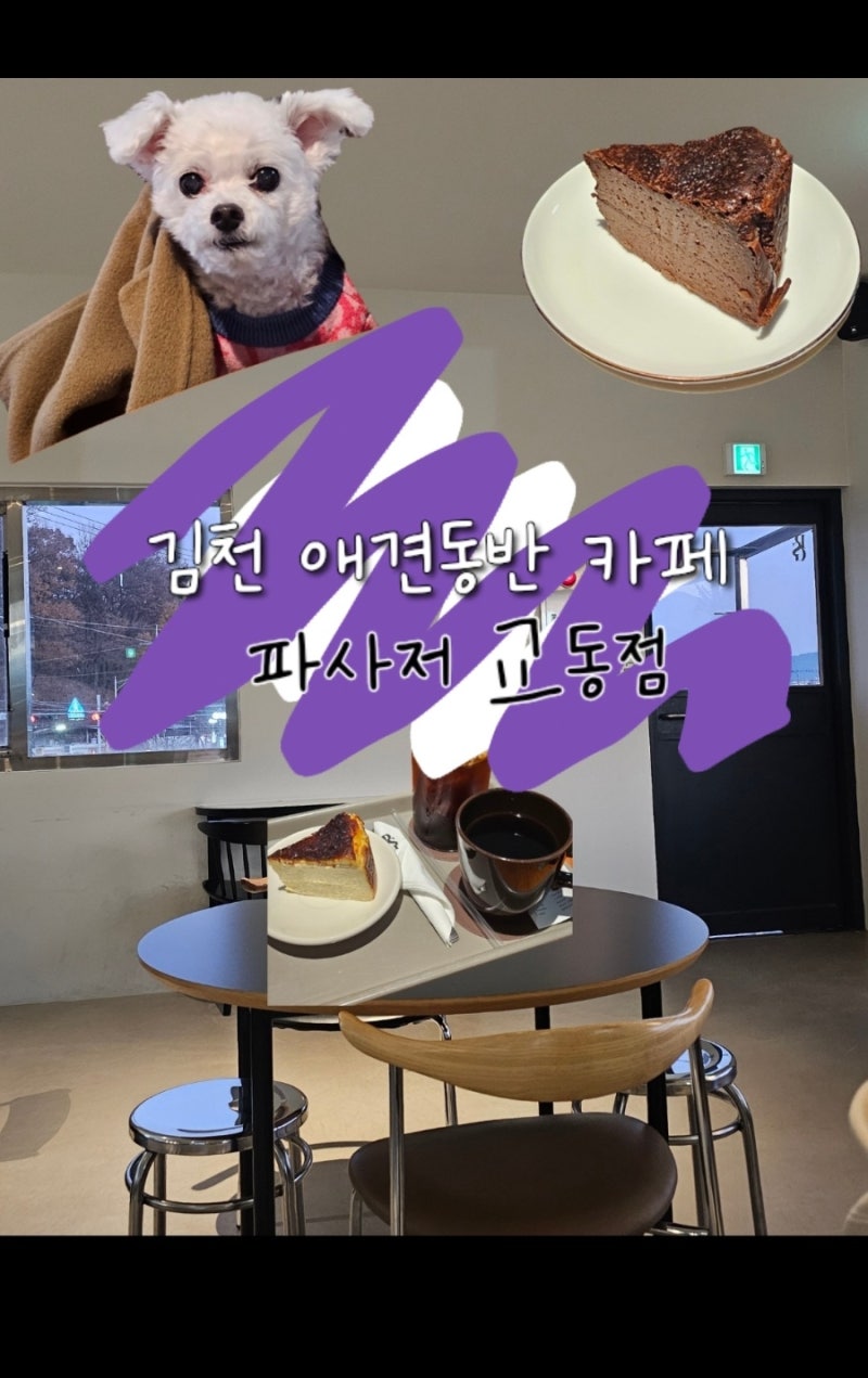 사진 6