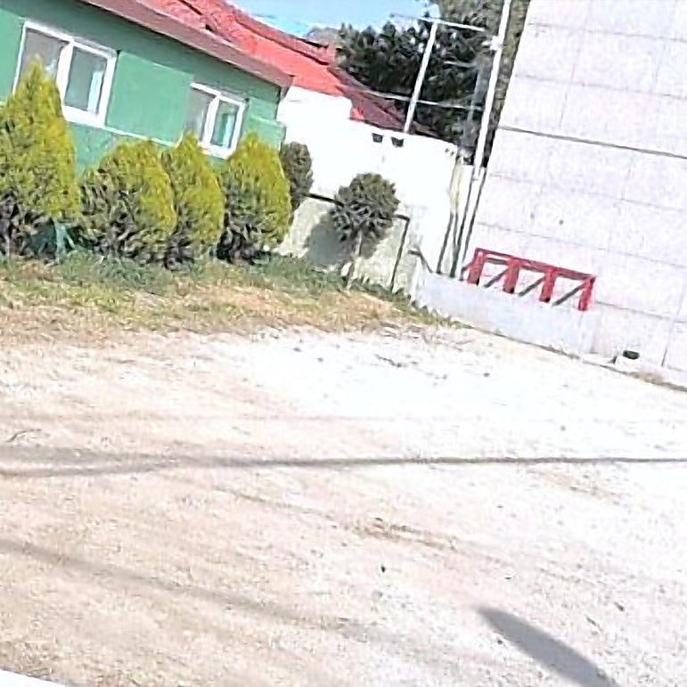 어느봄날 사진 5