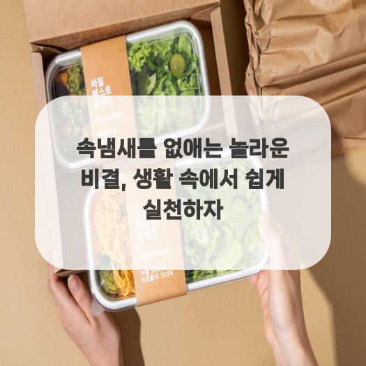 속냄새를 없애는 놀라운 비결, 생활 속에서 쉽게 실천하자