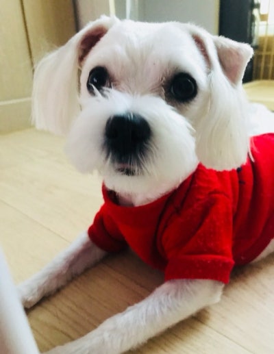 사진 2