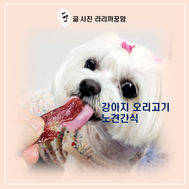  닭고기 알레르기 있다면 주목! 강아지 오리고기가 '보양식'인 과학적 이유 4가지!