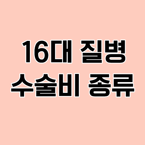 16대질병수술비 종류 정확한 정보