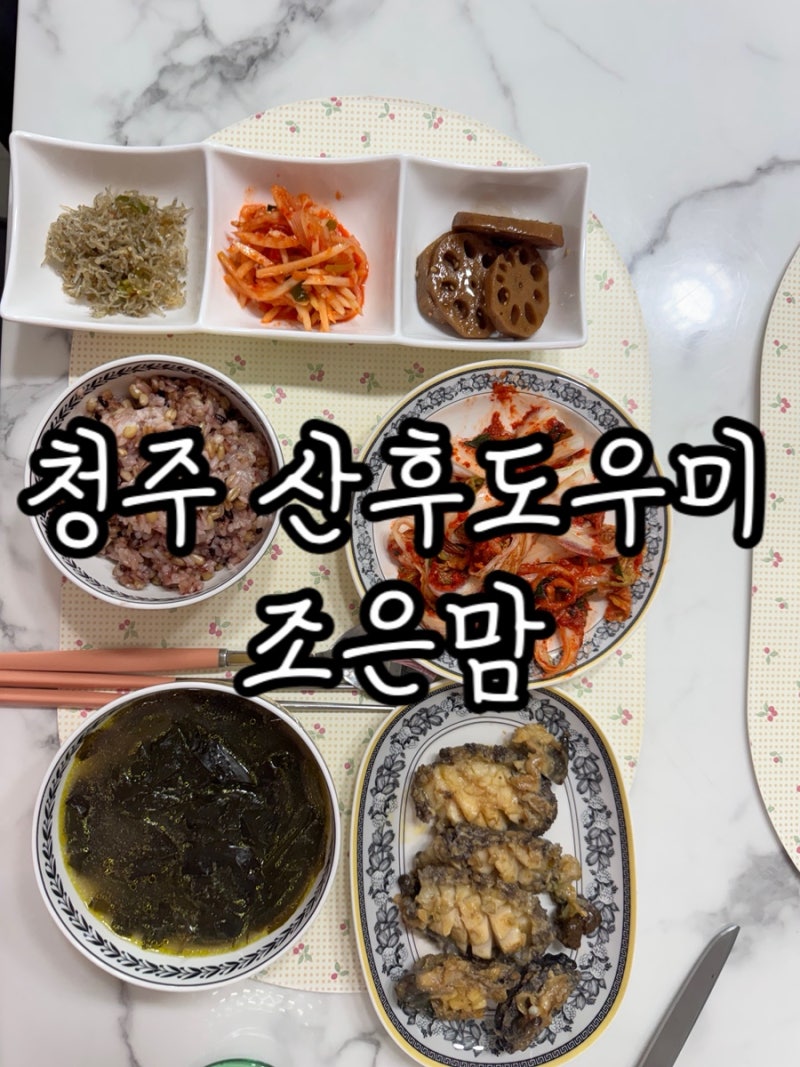청주 산후도우미 조은맘 3주 이용 후기 산모신생아건강관리사업 소득초과 라형 지원금