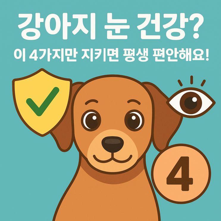  ️ 강아지 눈 건강 관리법, 꼭 알아야 할 필수 루틴