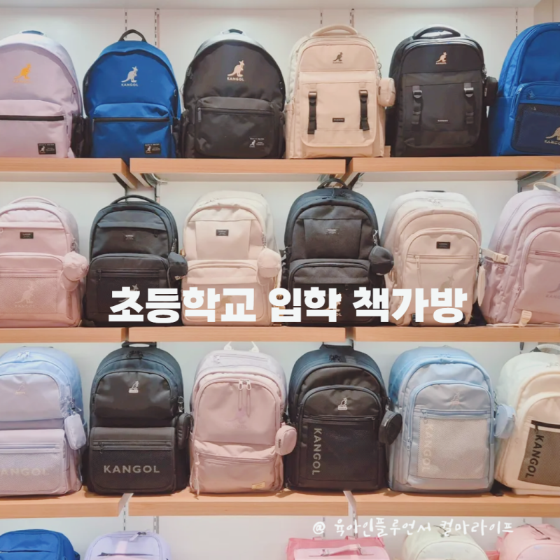 초등학교 입학 책가방, 캉골·나이키·디스커버리·뉴발 초등학생 가방 인기 브랜드 총정리