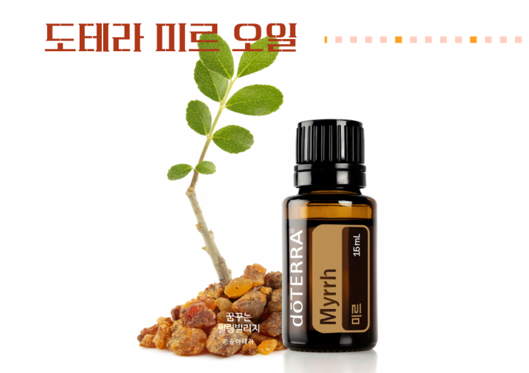  도테라 미르 오일의 효능과 활용 레시피 10가지