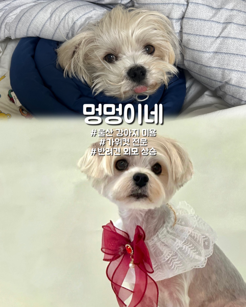 사진 4