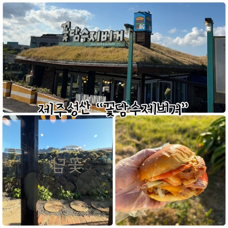 제주가볼만한곳 "꽃담수제버거" 성산 흑돼지 수제버거 포장했어요