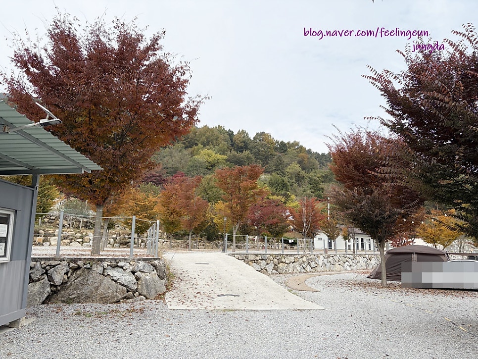 산앤호반캠핑장 사진 2