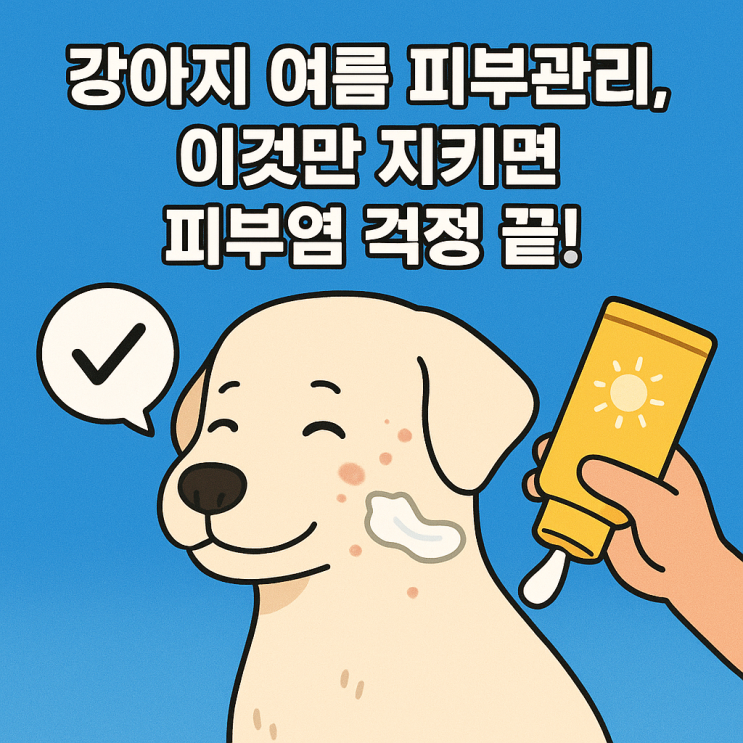 강아지 여름철 피부 관리, 이것만 지키면 걱정 없습니다!