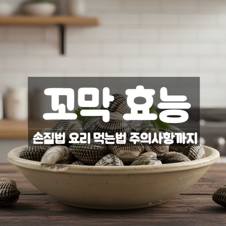  꼬막 효능 제철 칼로리 요리 먹는법 – 겨울철 단백질 보물
