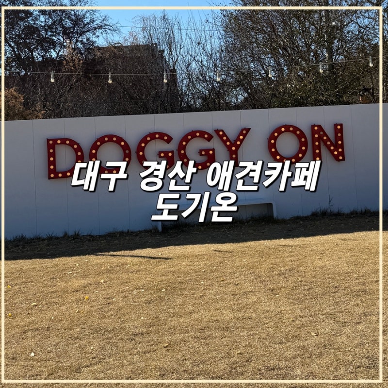 도기온