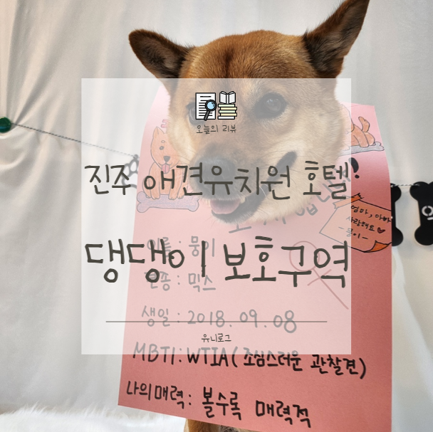 사진 6