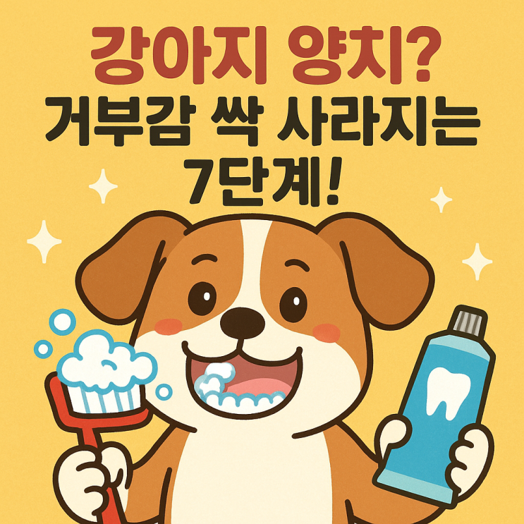  강아지 양치 거부, 이렇게 하면 해결됩니다! 7단계 극복법