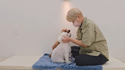 사진 3
