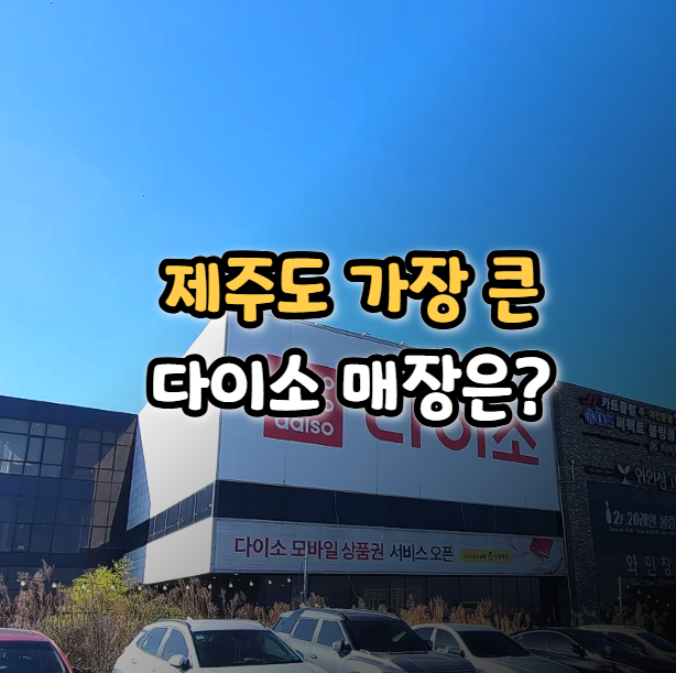  제주도 다이소 캠핑용품 가장 큰 매장과 작은 곳 방문기