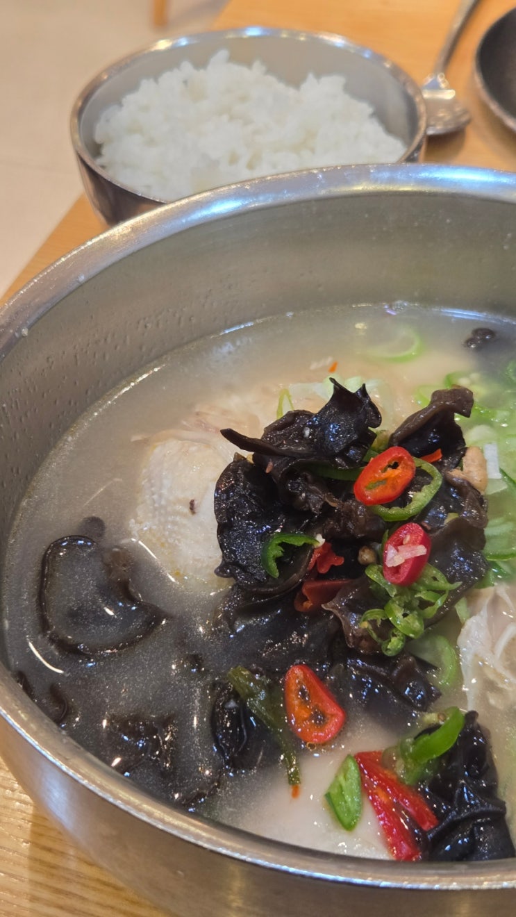  종로5가 맛집 내돈내산 일오팔 닭국수 : 백숙곰탕 백숙칼국수 가성비 혼밥 모두 해결