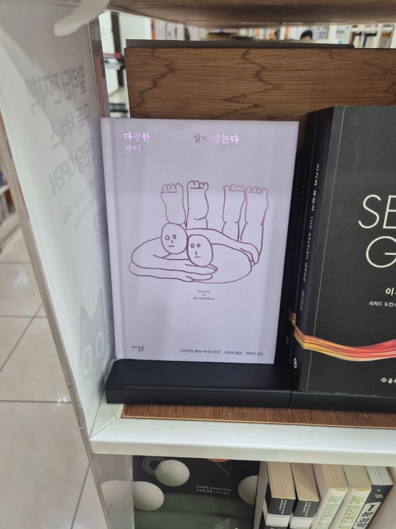 ⭐️11월 일상(11.16~11.30)⭐️ : 네이버 블로그