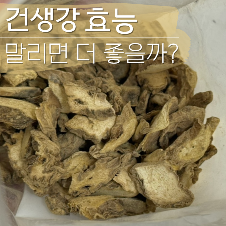  건생강 효능 말리면 더 좋을까?