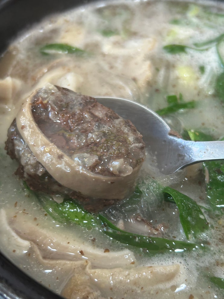  [안암오거리] 신장개업 푸짐한 건더기에 반주하기 좋은 순대국맛집 추천 <장터막창순대국밥>(모듬순대국밥)