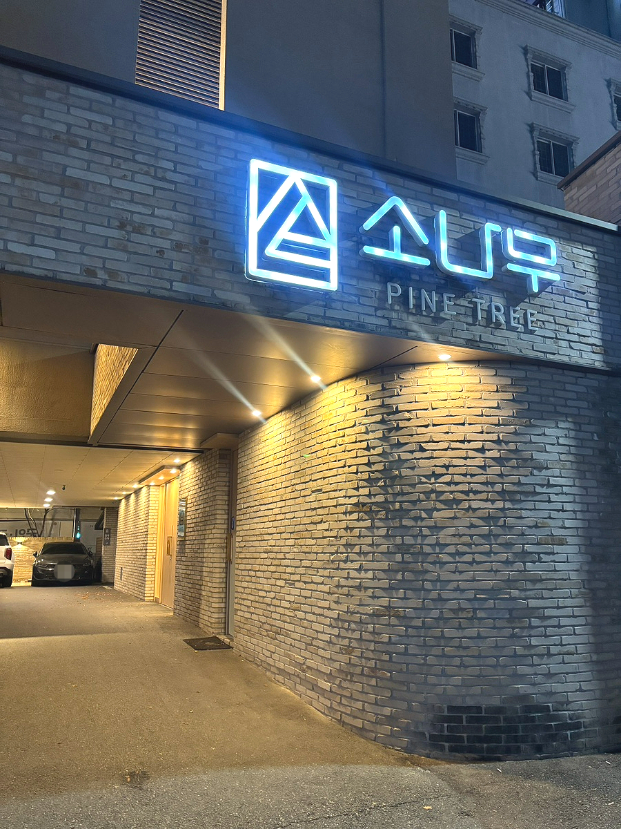 소나무파인트리 사진 2