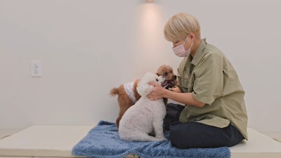 사진 4