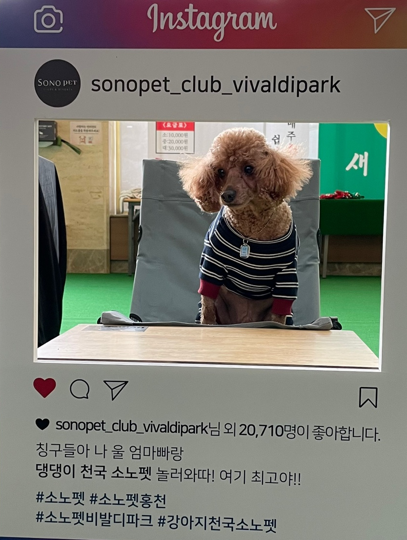 위크스테이스파펜션 사진 5