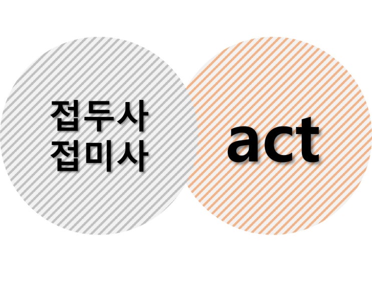  접두사 접미사 act 어원 및 기본 영어 단어