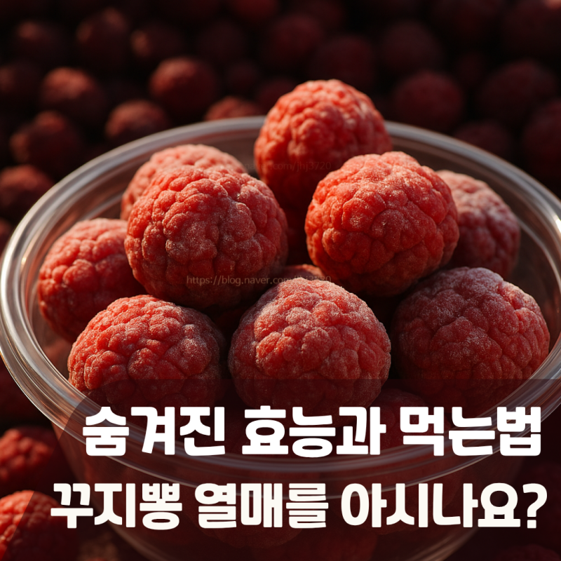 꾸지뽕 효능 및 열매 먹는 방법, 효소 청 담그는 법