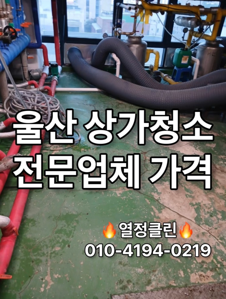  울산 상가 청소 전문 업체 가격 | 곰팡이 제거 포함