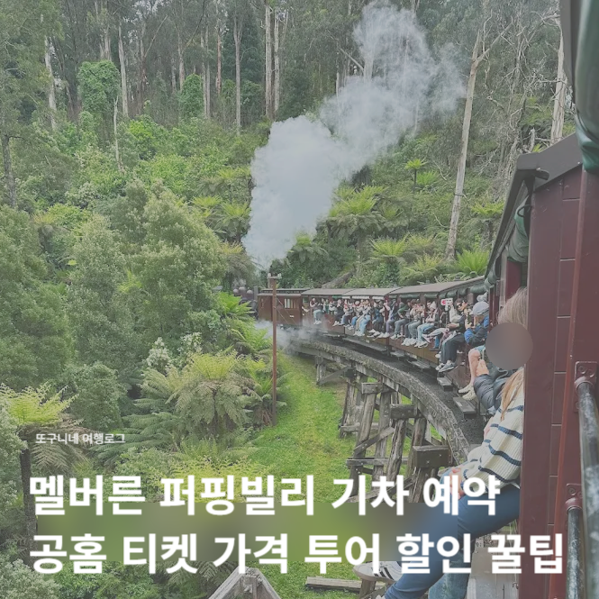  멜버른 퍼핑빌리 기차 예약 티켓 가격 공홈 구매 투어 비교 할인 꿀팁 총정리 Puffing Billy Railway