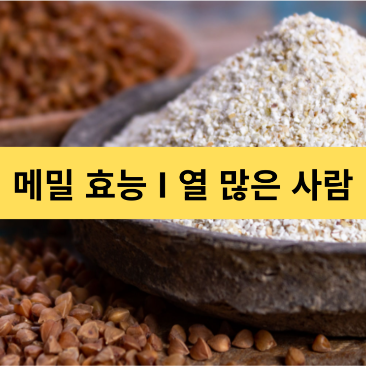  메밀 효능 | 메밀차 효능 | 열 많은 사람이 먹으면 좋은 음식