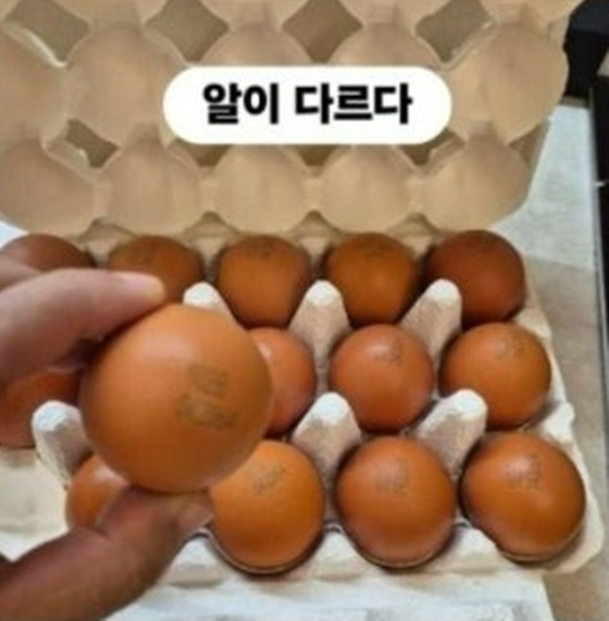 온라인 <b>쇼핑몰</b> ‘프레스티지’ <b>폐업</b>…사이트도 완전 차단된... 