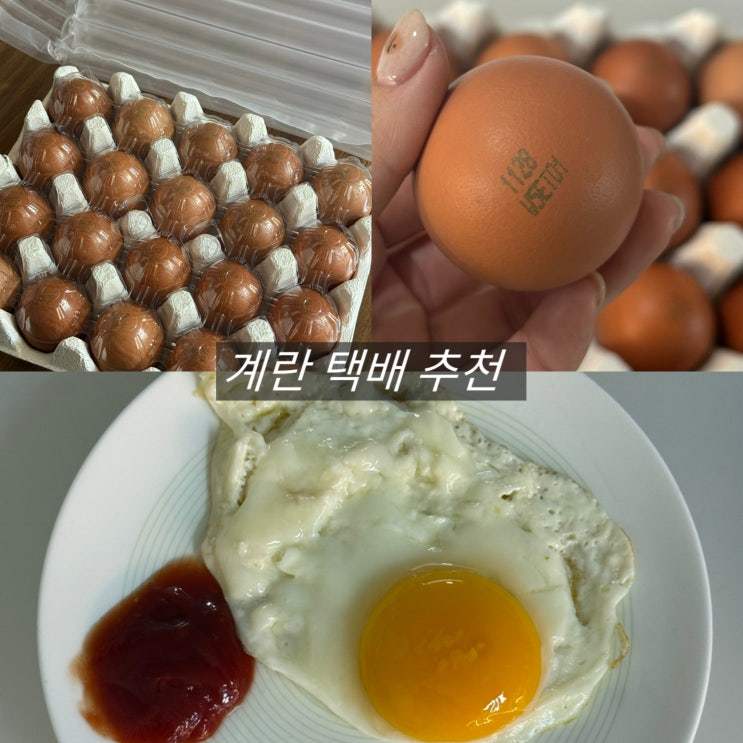  난각 1번 계란 추천 유정란 양계장 청년 택배 후기