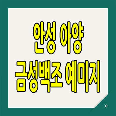  안성 아양지구 미분양아파트 옥산동 분양가상한제 금성백조 예미지 분양가