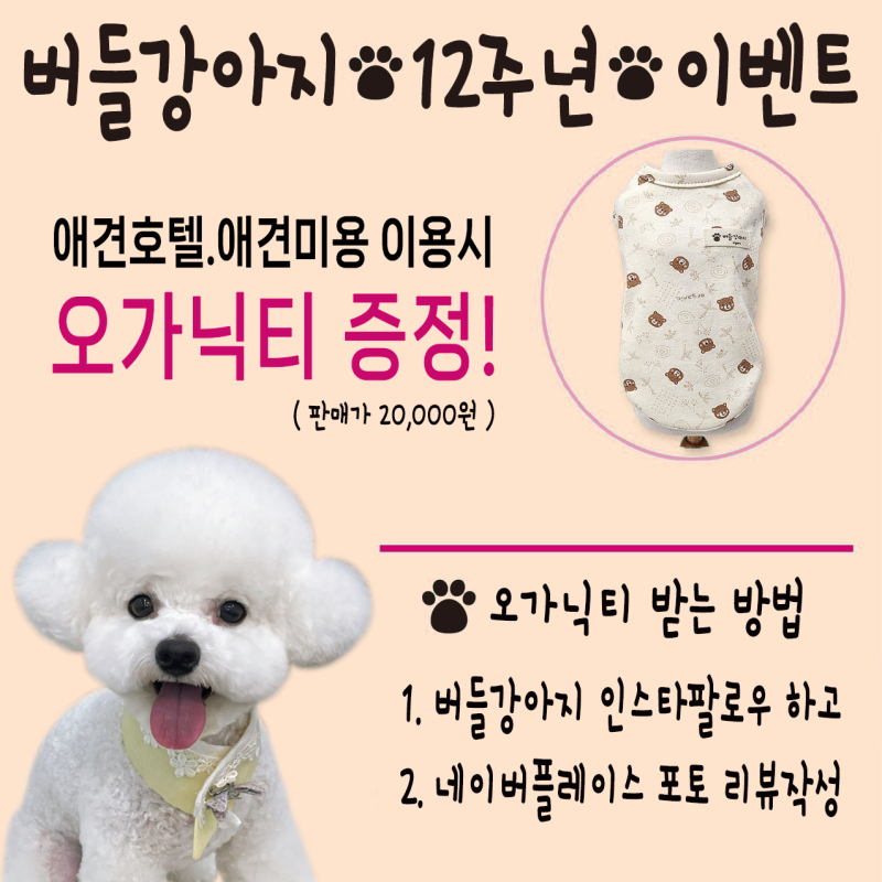 사진 4