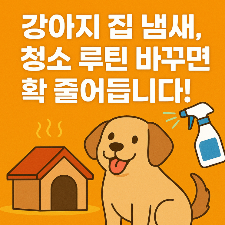  강아지 집 냄새, 청소 루틴만 바꿔도 확 줄어듭니다!
