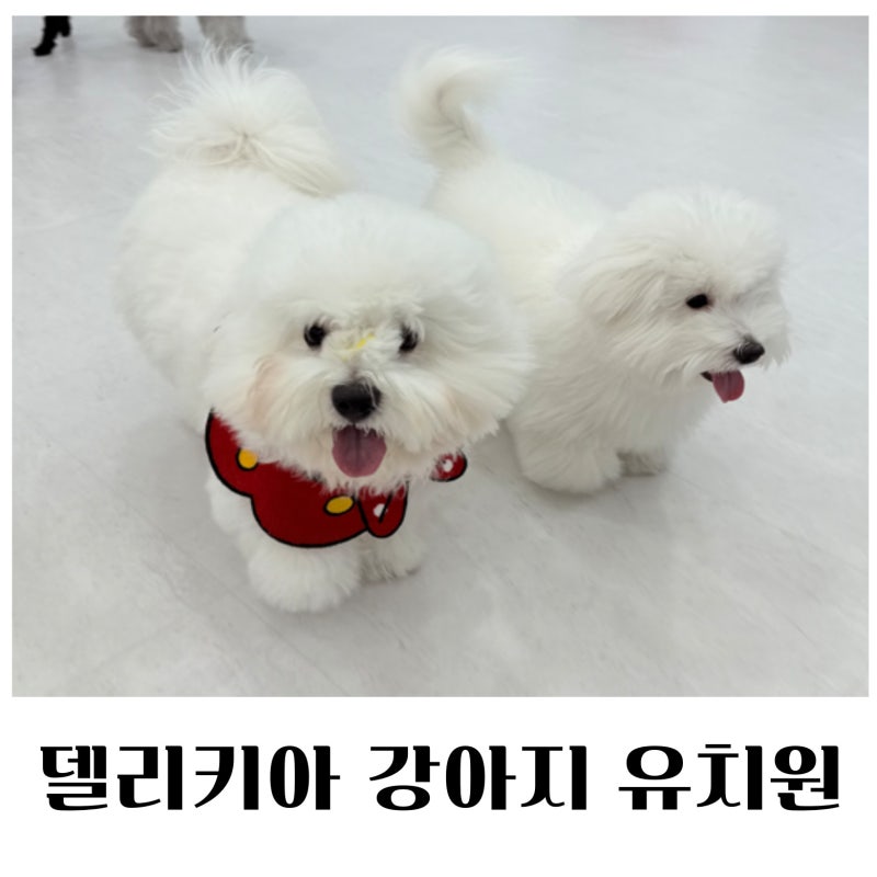 사진 7