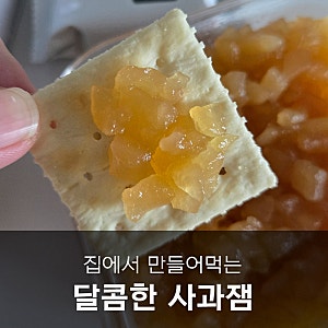 초간단 사과잼 만들기 스테비아 저당 레시피
