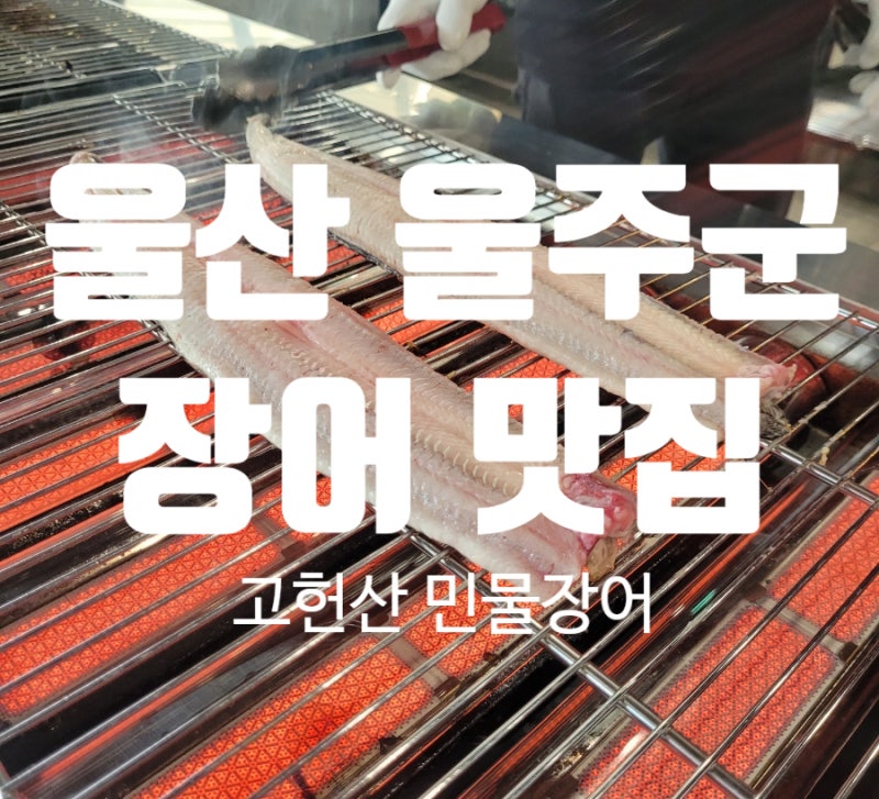 사진 2