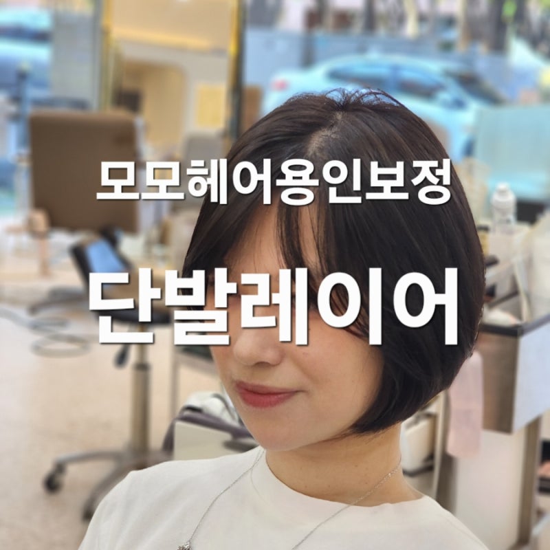 단발머리추천 :: 함은정단발 레이어드단발 (용인보정동미용실)