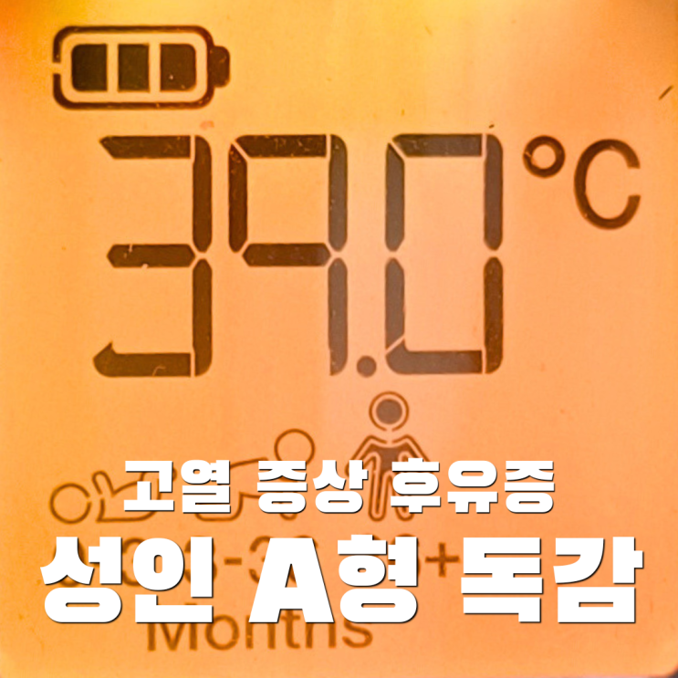  성인 A형 독감 후기 (고열 증상 후유증)