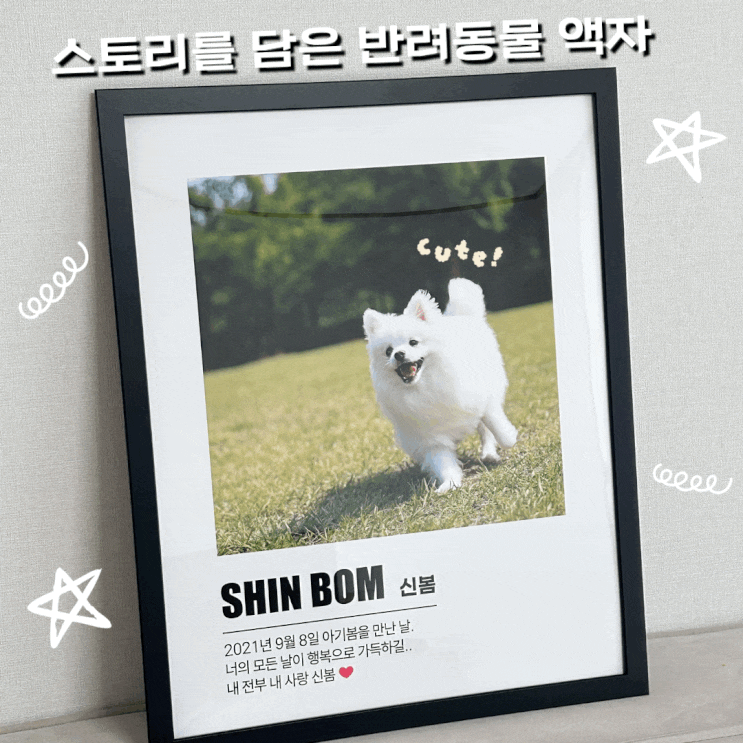  스토리를 담은 강아지 반려동물 액자 보곤다닷컴
