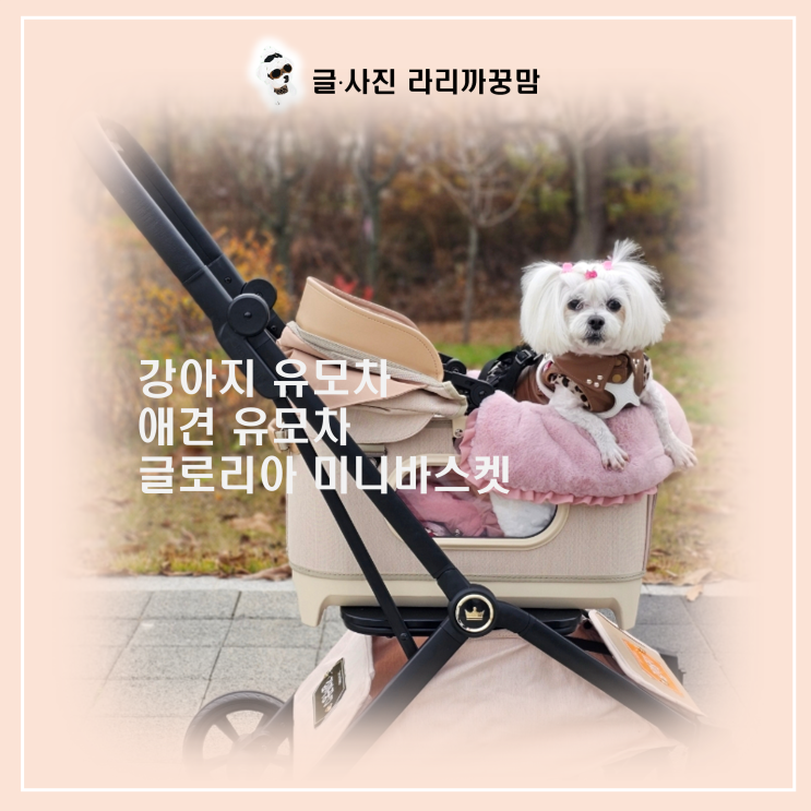  로얄테일즈 글로리아 분리형 유모차 미니 바스켓 개모차는 과학이에요!