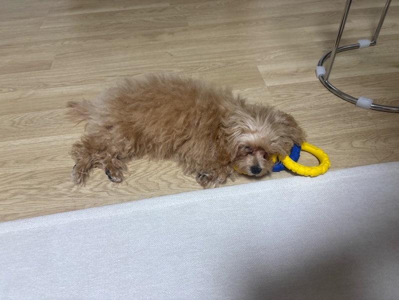 사진 7