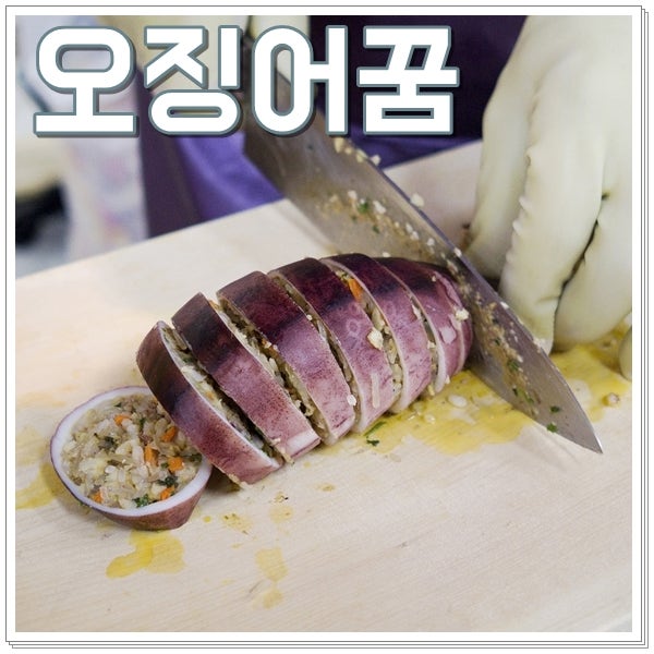 오징어꿈 해몽 오징어와노는꿈 별별 풀이 모음