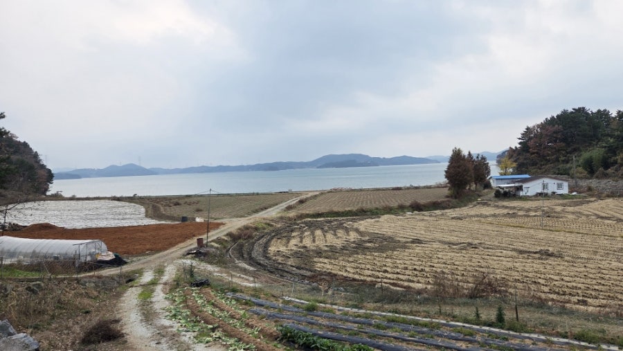 서산바다펜션 사진 2