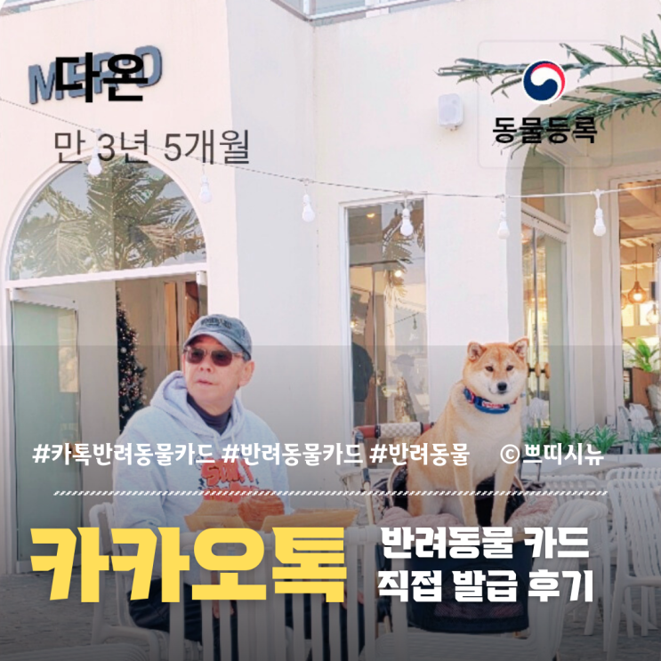  카카오톡 반려동물카드 발급 방법부터 활용 팁까지: 실제로 만들어본 후기와 정보 총정리
